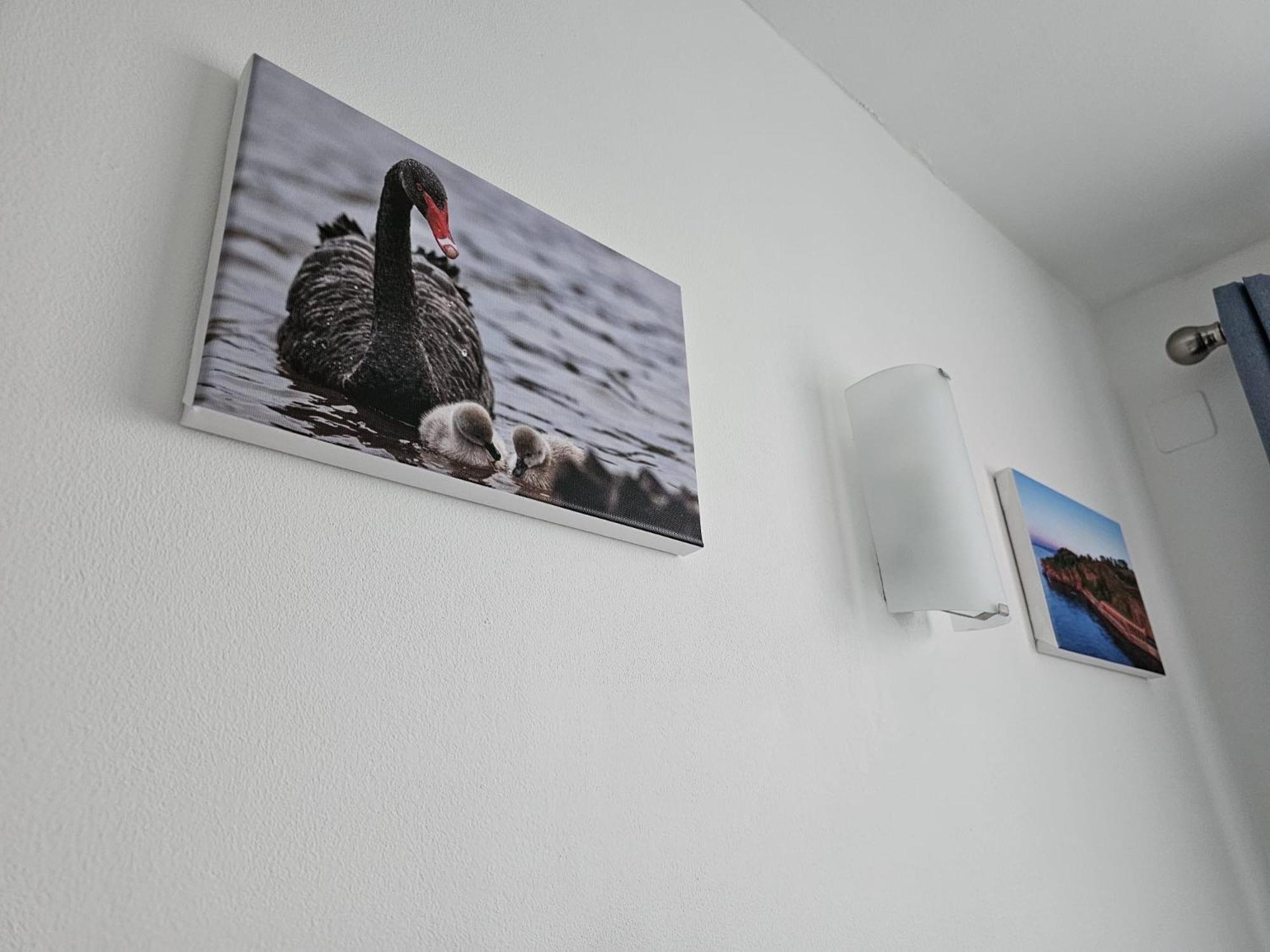 Apartament The Nautical Nook Dawlish Zewnętrze zdjęcie